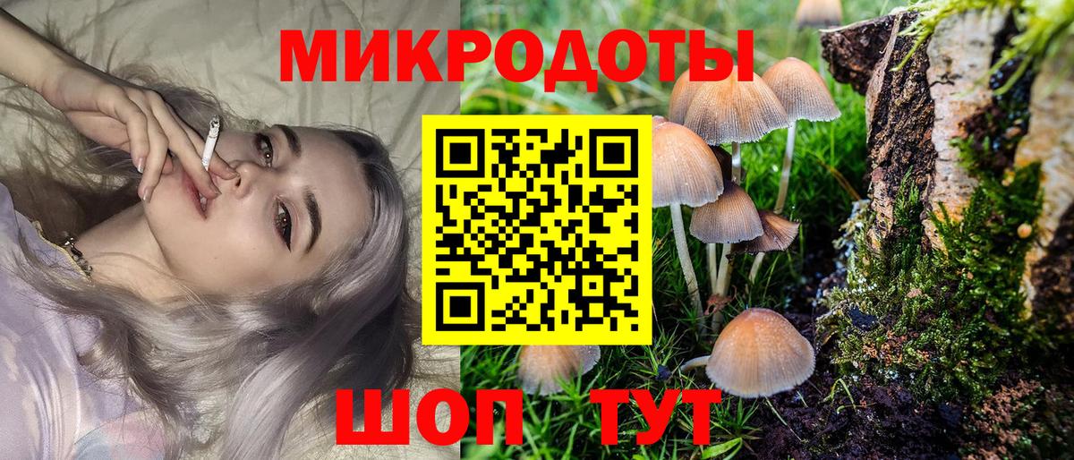 Десногорск  Псилоцибиновые грибы GOLDEN TEACHER  Вход с VPN  Псилоцибиновые грибы ЛСД 
